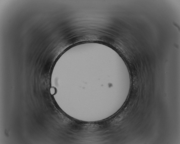 X0000092291081200710041424