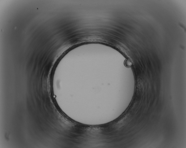 X0000092291082200710041424