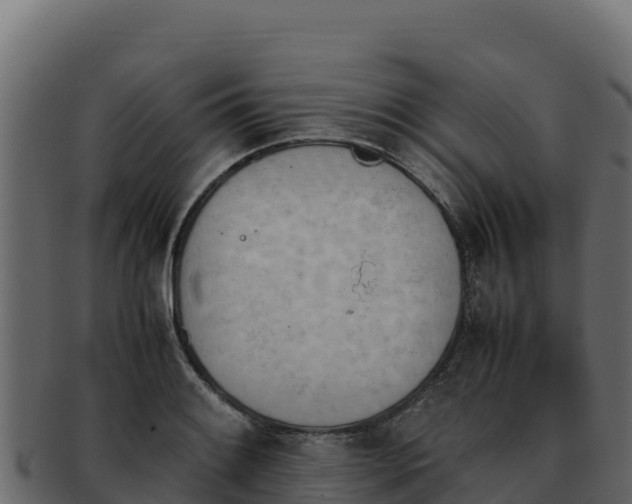 X0000092291084200710041424