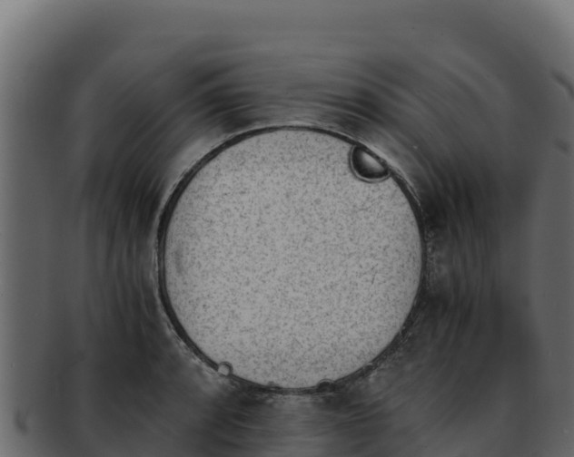 X0000092291088200710041424