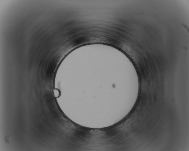 X0000092291089200710041424