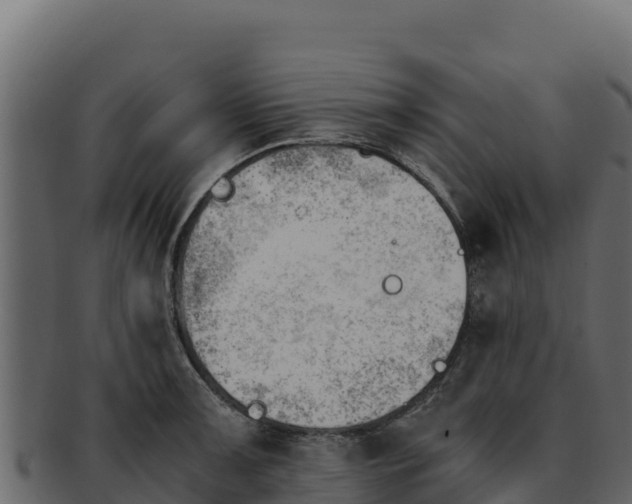 X0000092291091200710041424