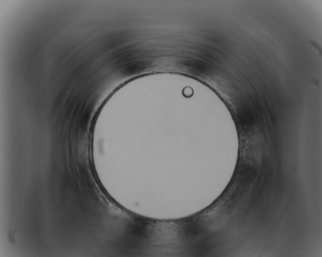 X0000092291094200710041424