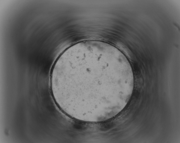 X0000092291095200710041424