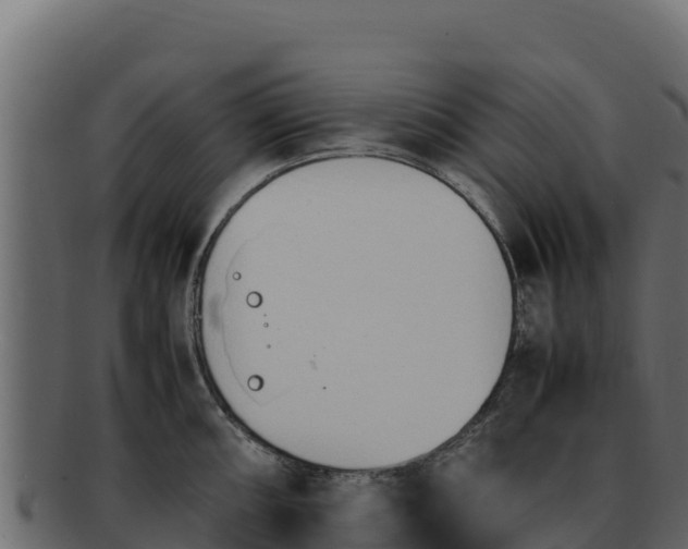 X0000092291098200710041424