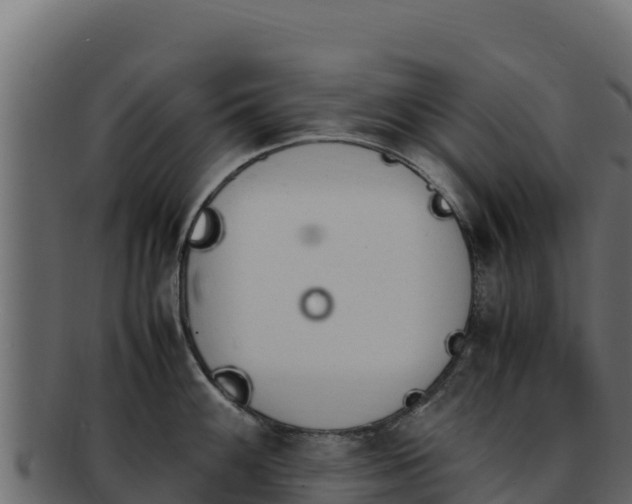 X0000092291100200710041424