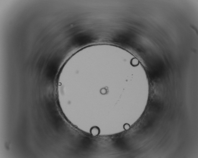 X0000092291101200710041424