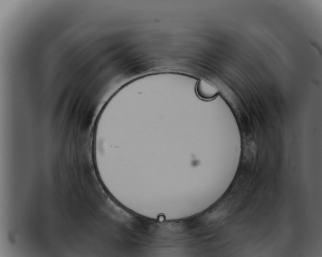 X0000092291102200710041424