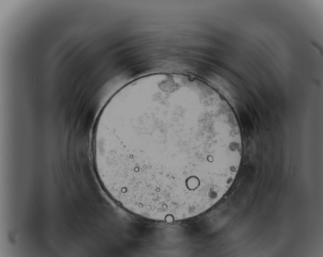 X0000092291103200710041424