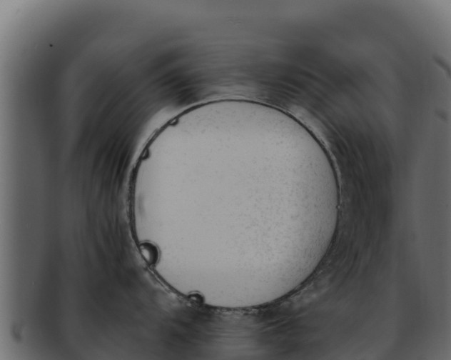 X0000092291104200710041424