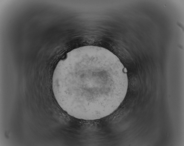 X0000092291105200710041424