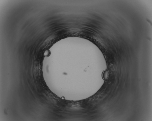 X0000092291111200710041424