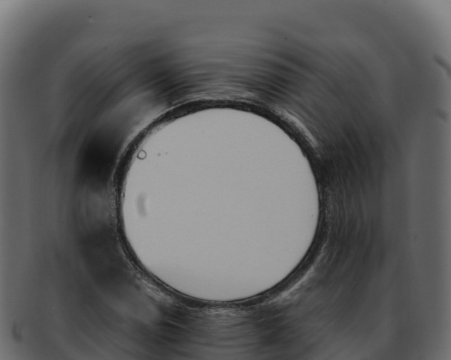 X0000092291114200710041424