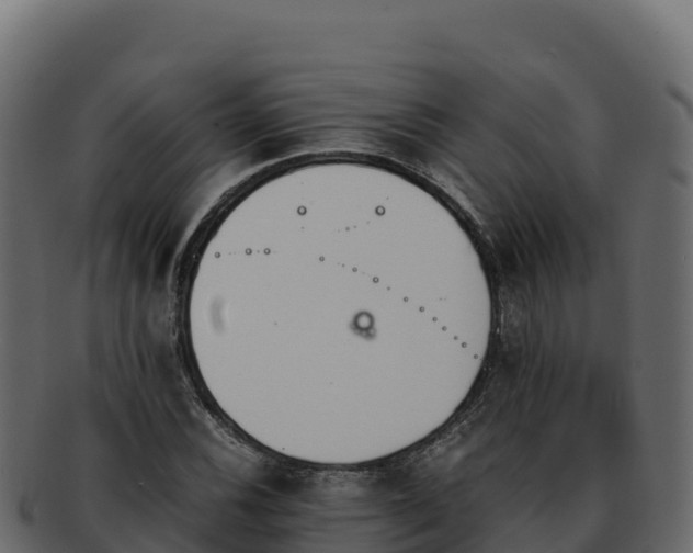 X0000092291116200710041424