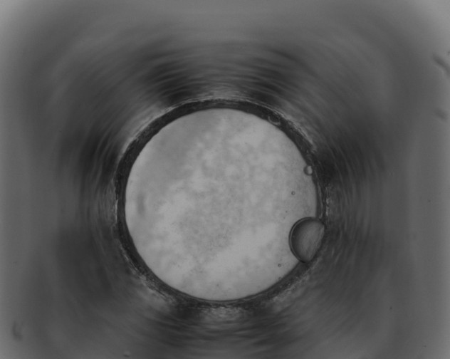 X0000092291117200710041424