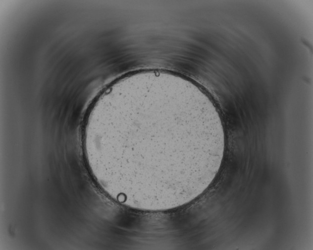 X0000092291120200710041424