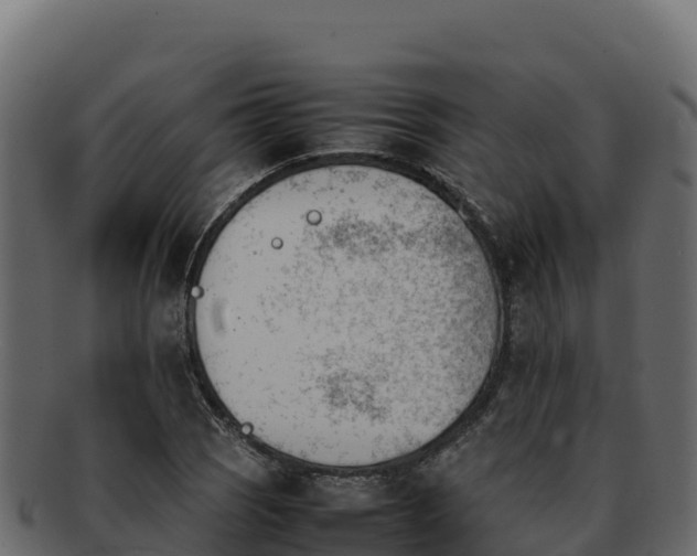 X0000092291121200710041424