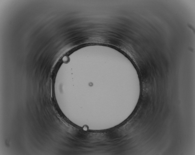 X0000092291123200710041424