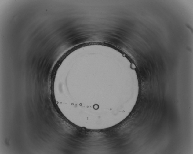 X0000092291124200710041424