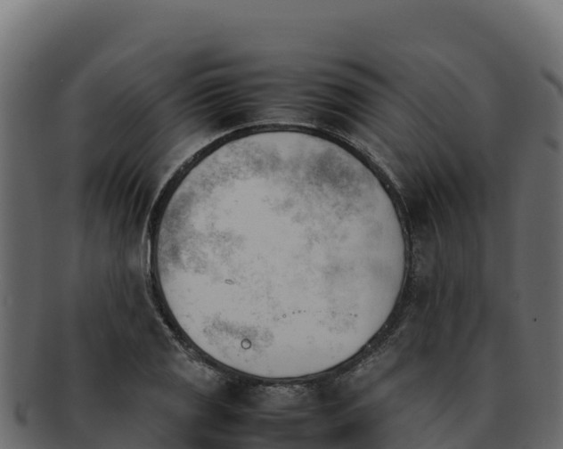 X0000092291125200710041424