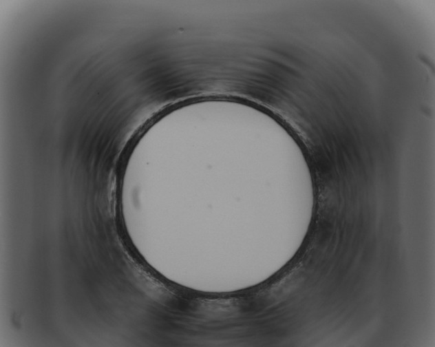 X0000092291126200710041424