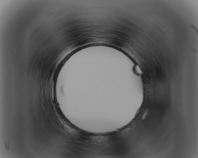 X0000092291127200710041424