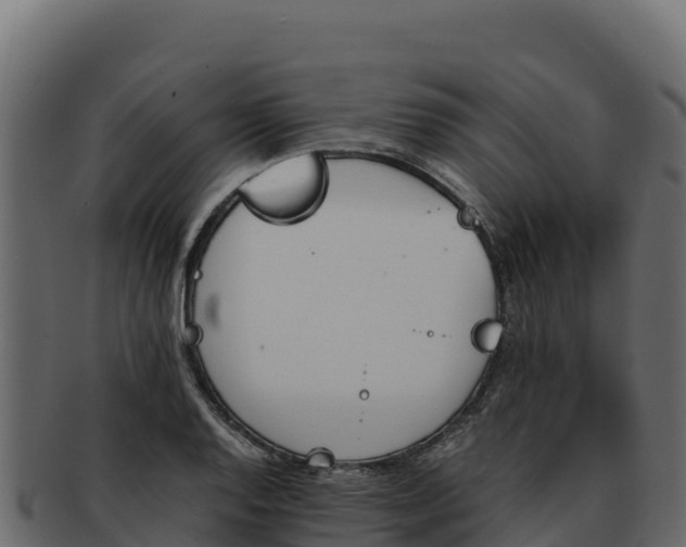 X0000092291128200710041424