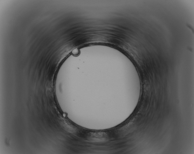 X0000092291129200710041424