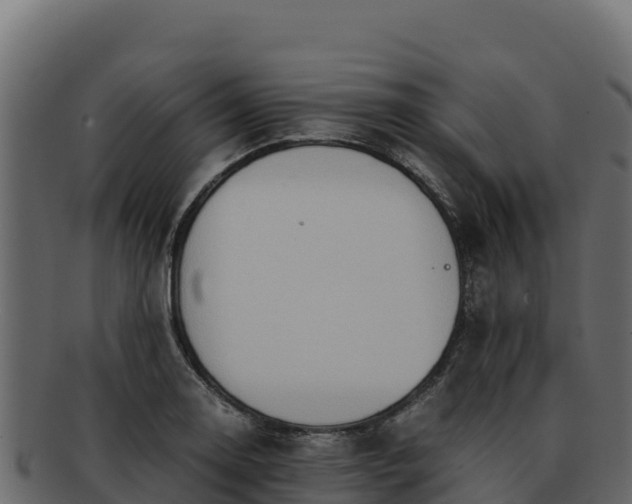 X0000092291130200710041424