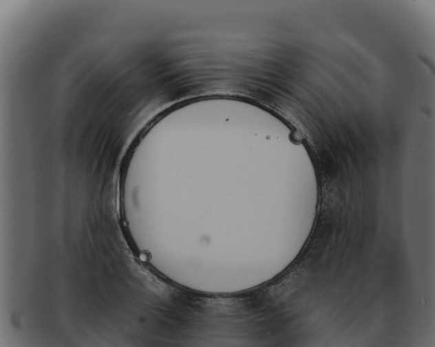 X0000092291132200710041424