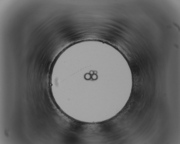 X0000092291134200710041424