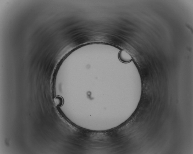 X0000092291135200710041424