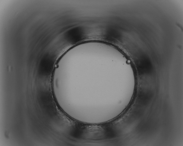 X0000092291137200710041424