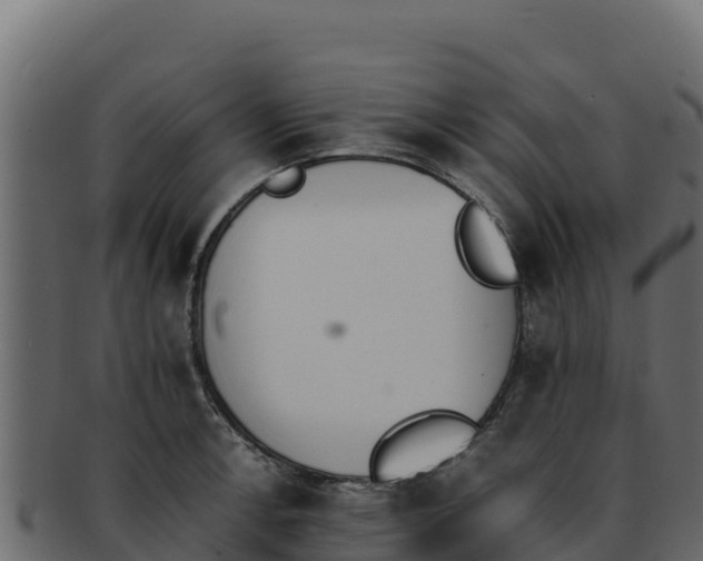 X0000092291138200710041424