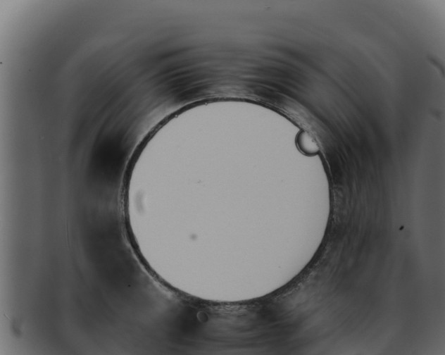 X0000092291141200710041424