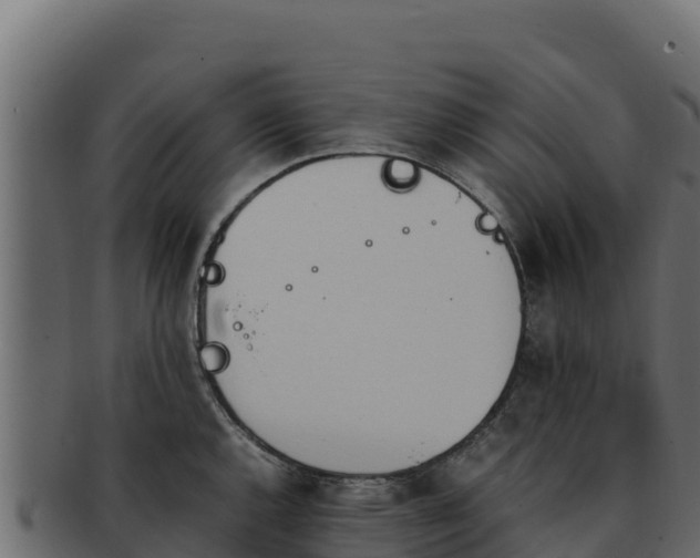 X0000092291144200710041424