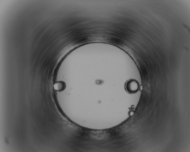 X0000092291147200710041424