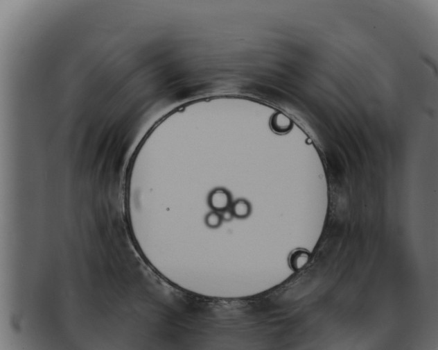 X0000092291148200710041424