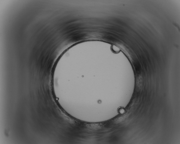 X0000092291149200710041424