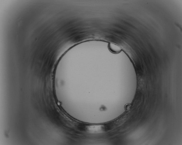 X0000092291151200710041424