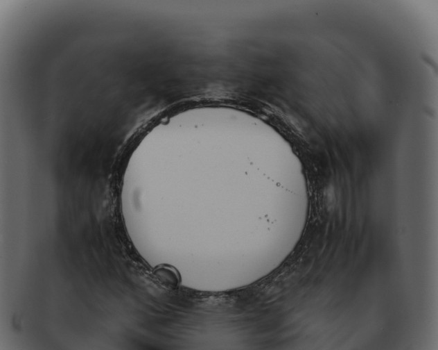 X0000092291160200710041424