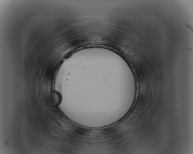 X0000092291161200710041424