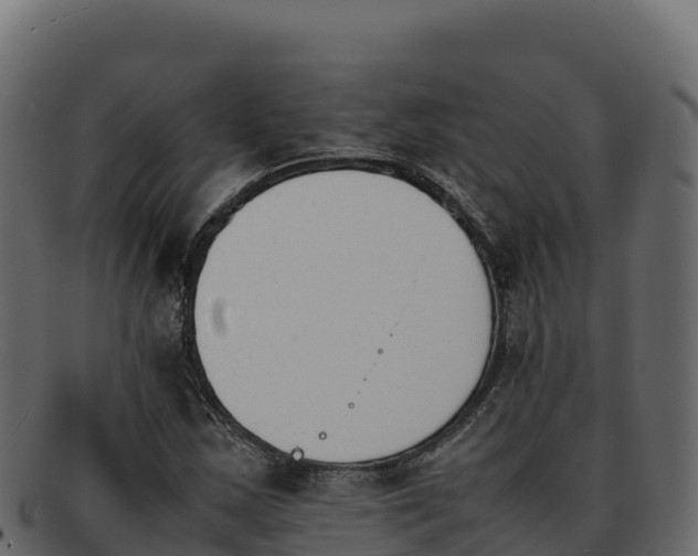 X0000092291163200710041424