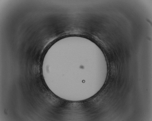 X0000092291166200710041423