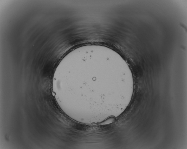 X0000092291169200710041423