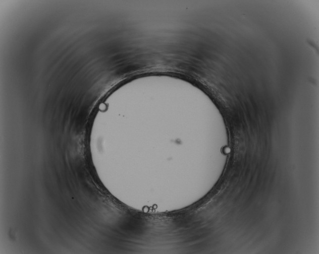 X0000092291170200710041423