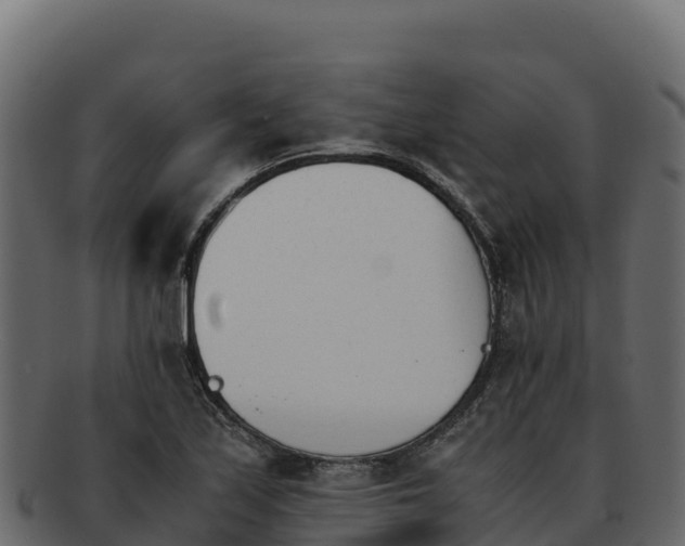 X0000092291171200710041423