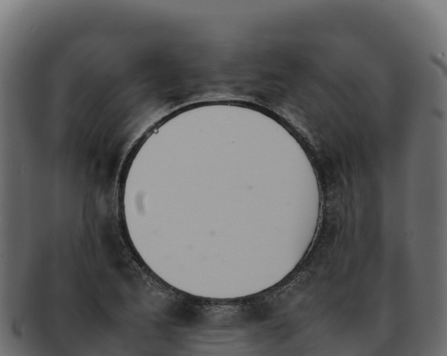 X0000092291173200710041423