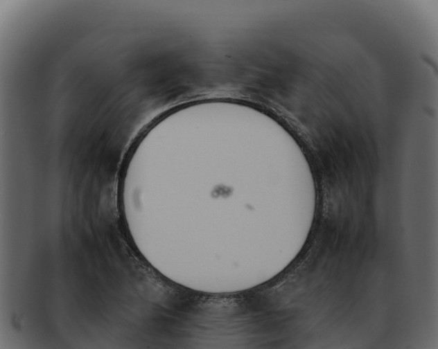 X0000092291174200710041423