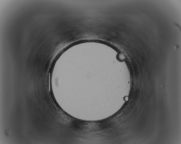 X0000092291175200710041423